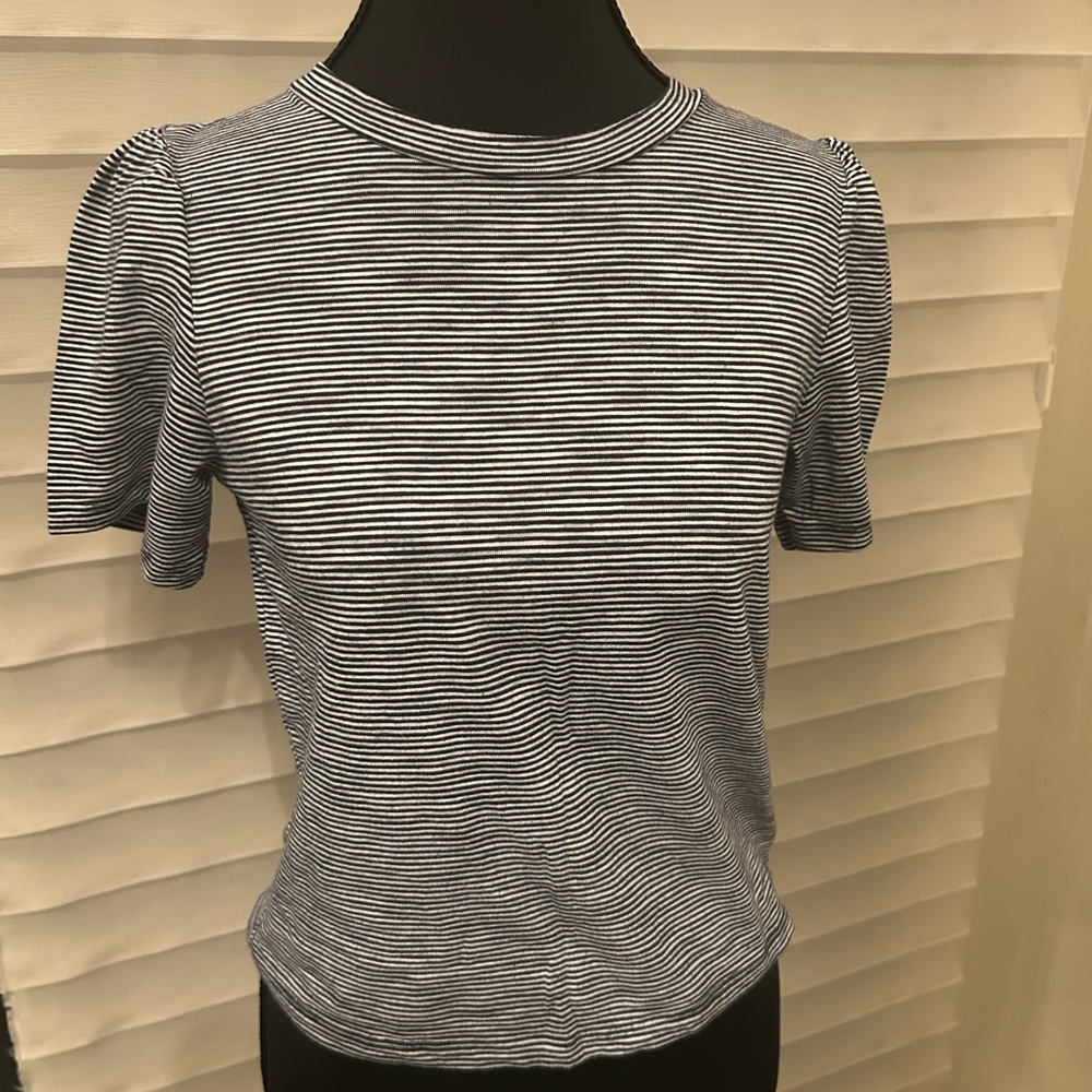 Aerie Gray Fitted Short Sleeve Tee